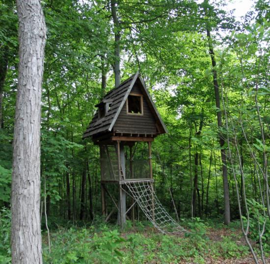 Capaldo Construction