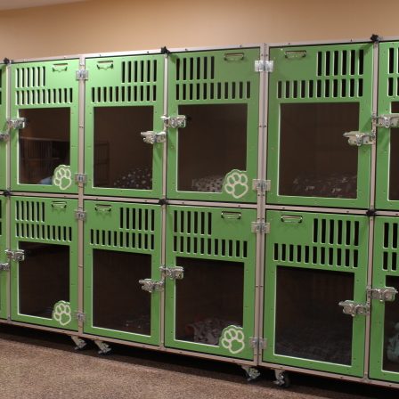 Dog Town & Kitty City